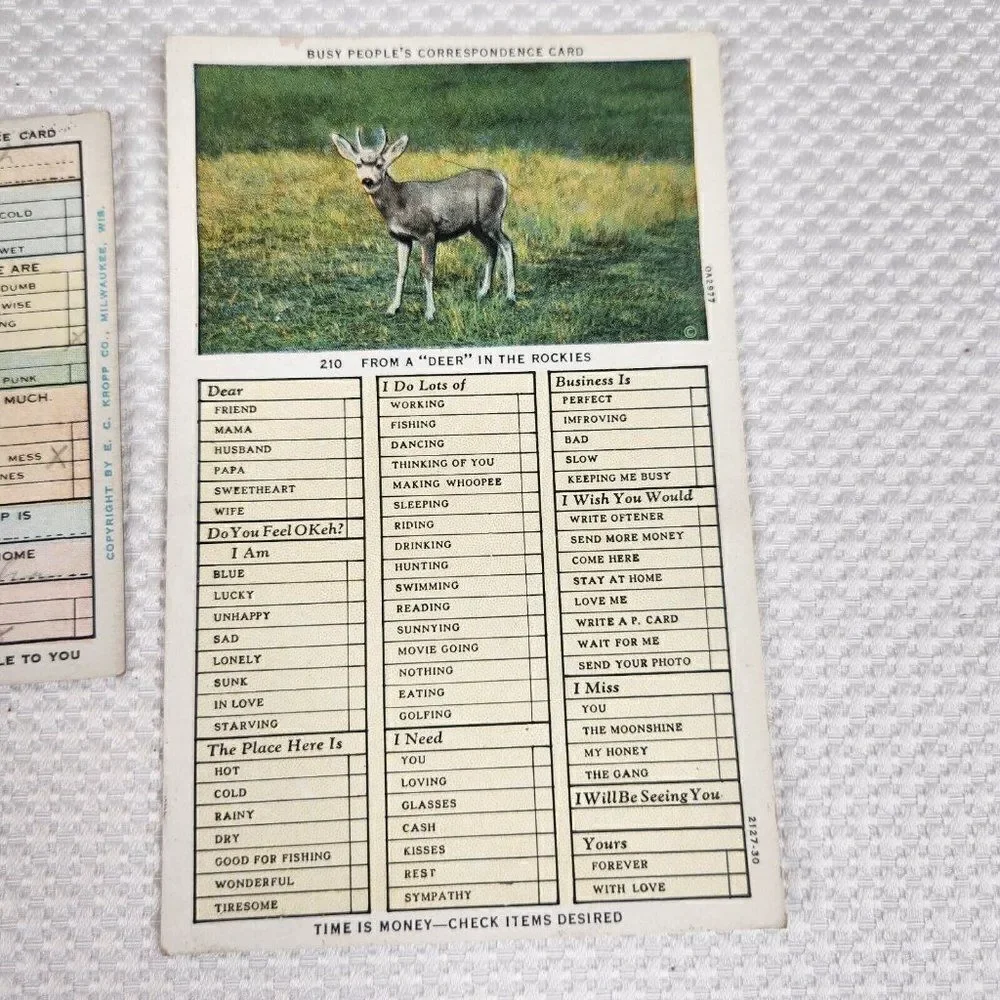 Vintage Postcard Busy People's Correspondence Card Lot Bull Deer Fish Humor Fun